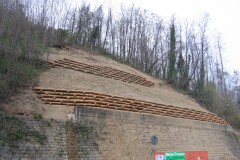 Arce e muri in legno