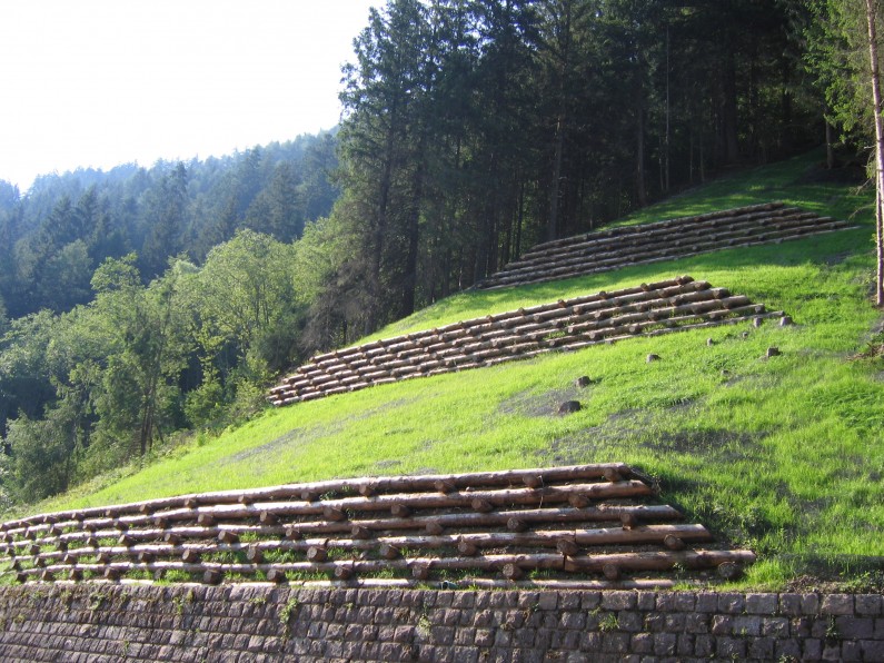 Arce e muri in legno